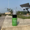 lime green- xanh lá